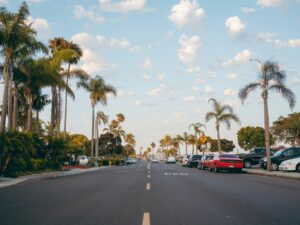 Scenic view of a palm-lined street in San Diego with parked cars and a clear sky.